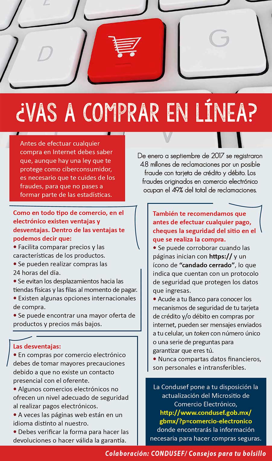vas-a-comprar-en-linea.jpg