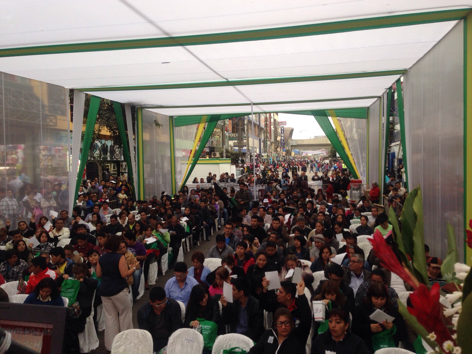 Peru_gamarra3.jpg